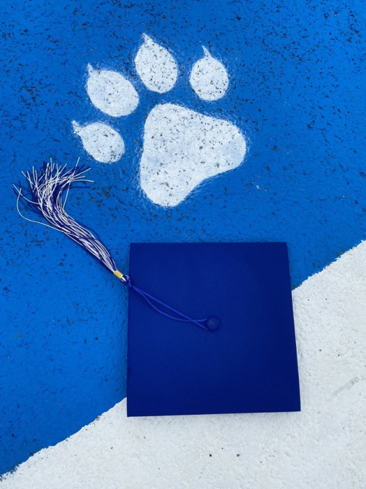 A picture of a cheetah paw print and graduation cap